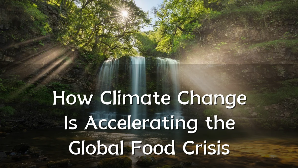 How Climate Change Is Accelerating the Global Food Crisis