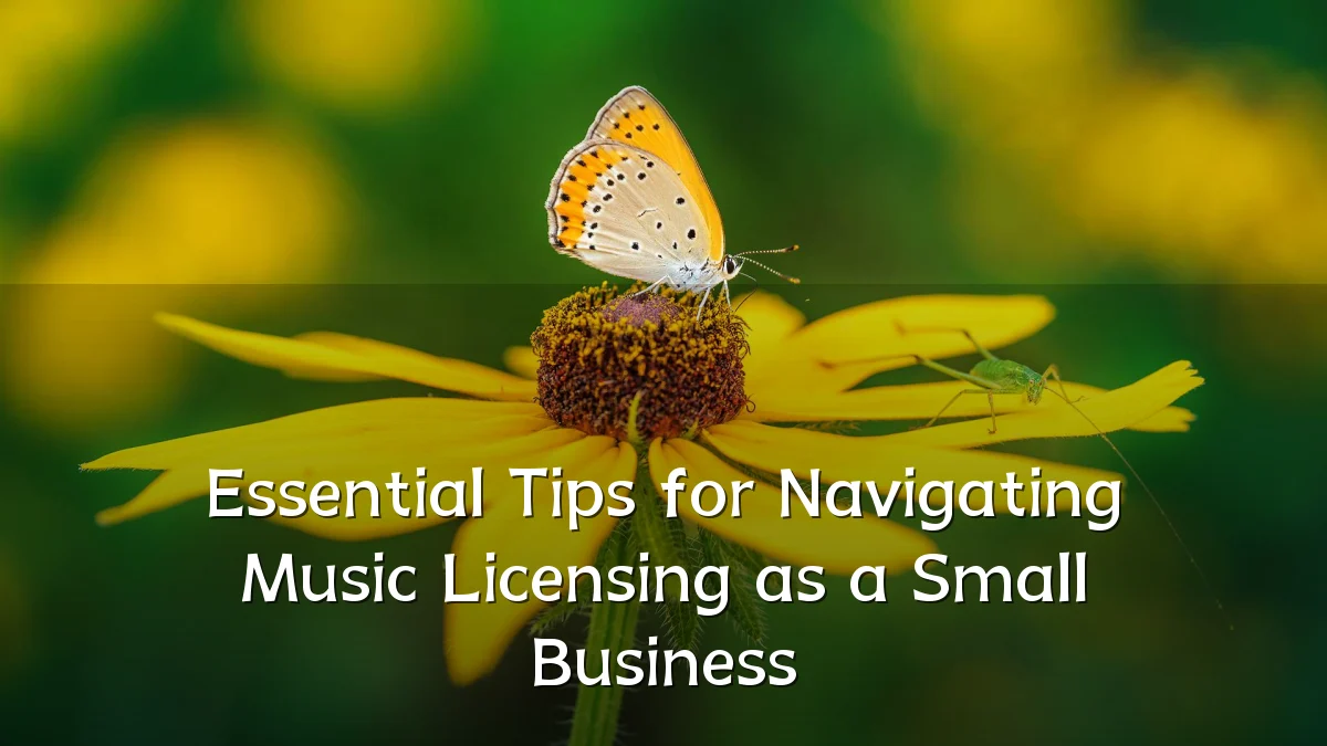 Essential Tips for Navigating Music Licensing as a Small Business