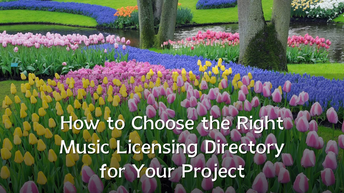 How to Choose the Right Music Licensing Directory for Your Project