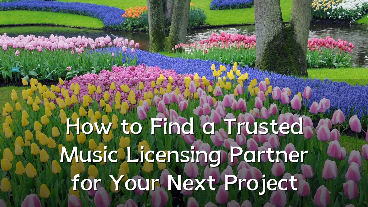How to Find a Trusted Music Licensing Partner for Your Next Project