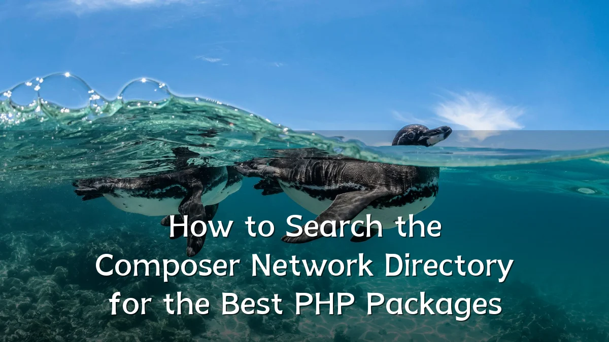 How to Search the Composer Network Directory for the Best PHP Packages