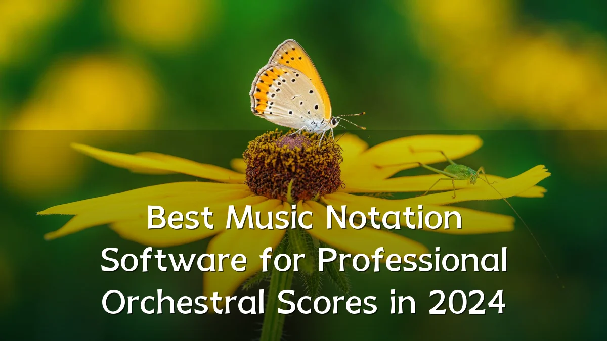 Best Music Notation Software for Professional Orchestral Scores in 2024