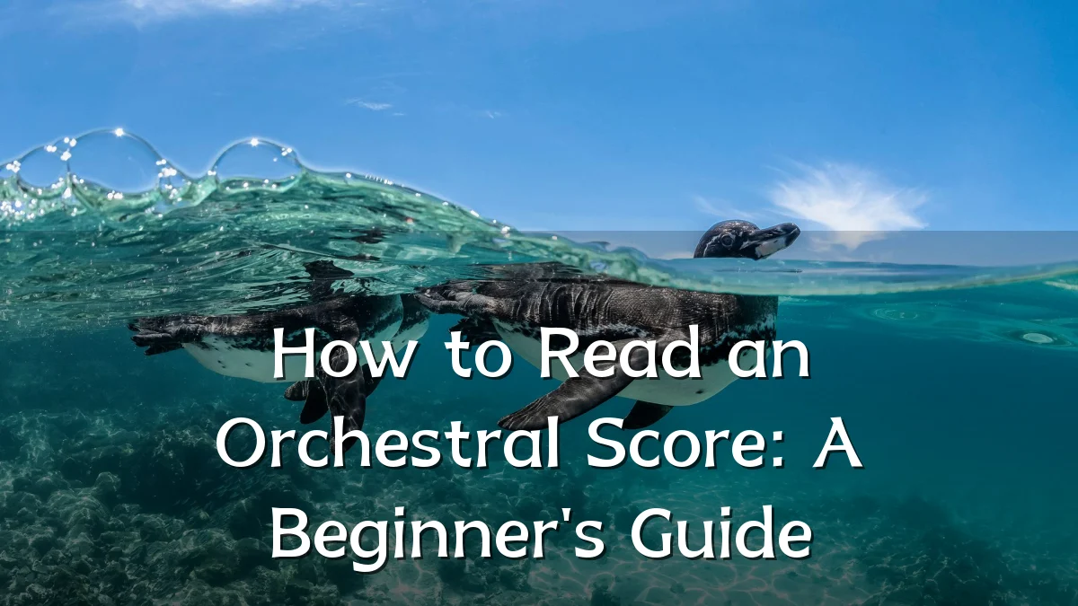 How to Read an Orchestral Score: A Beginner's Guide
