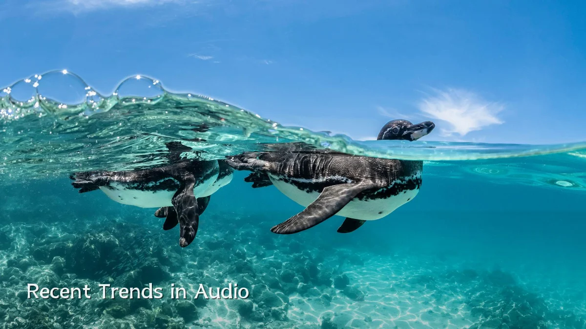 Recent Trends in Audio