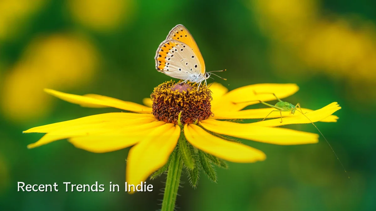 Recent Trends in Indie