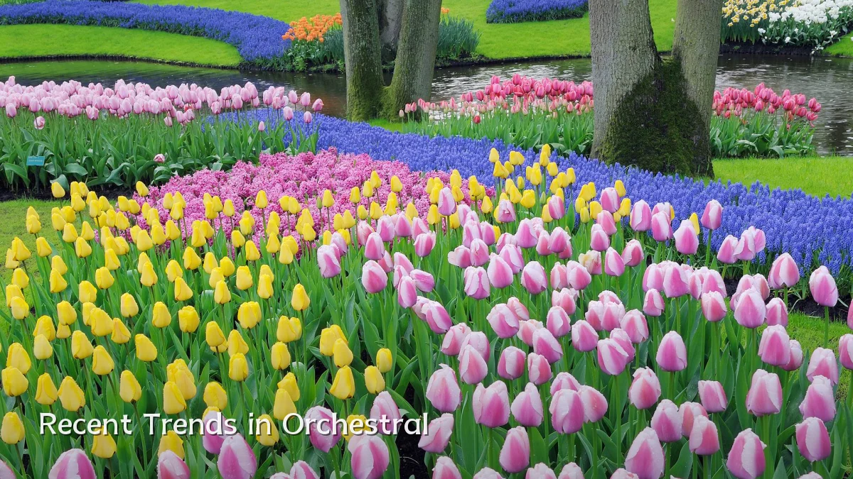 Recent Trends in Orchestral