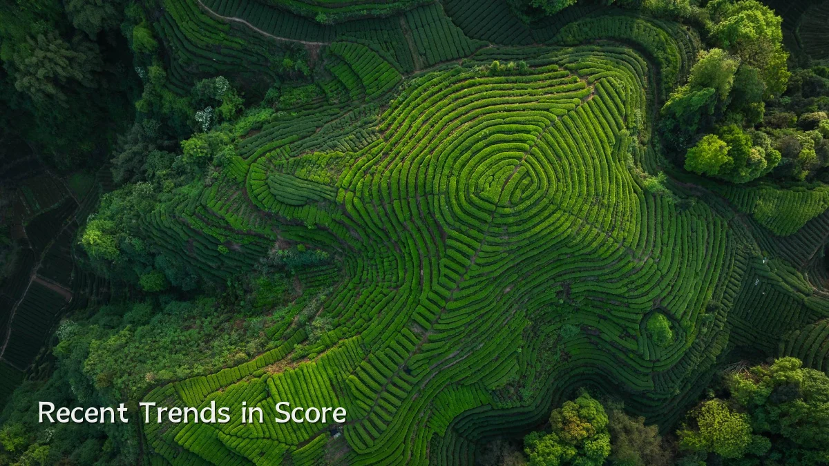 Recent Trends in Score