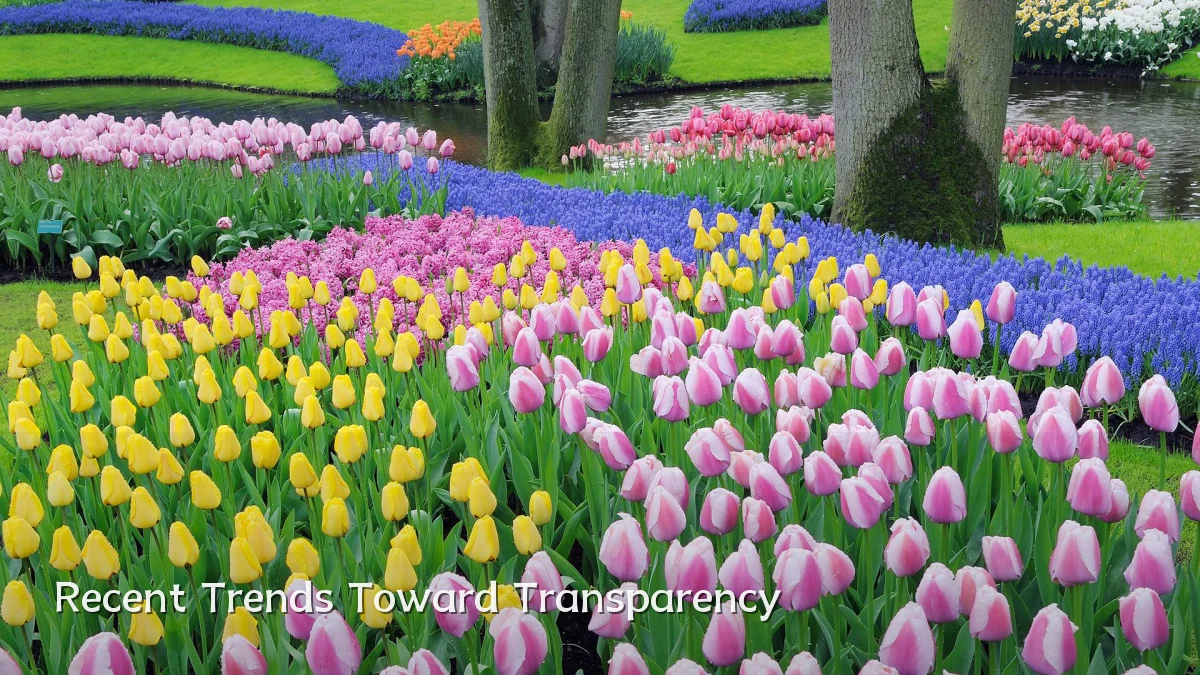 Recent Trends Toward Transparency