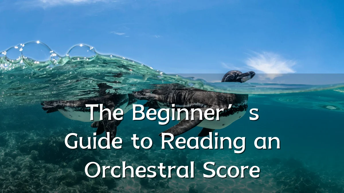 The Beginner’s Guide to Reading an Orchestral Score