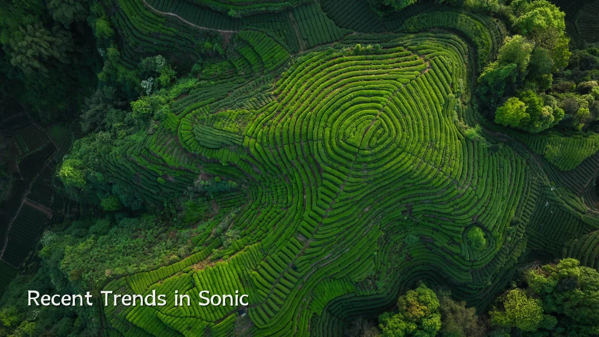 Recent Trends in Sonic