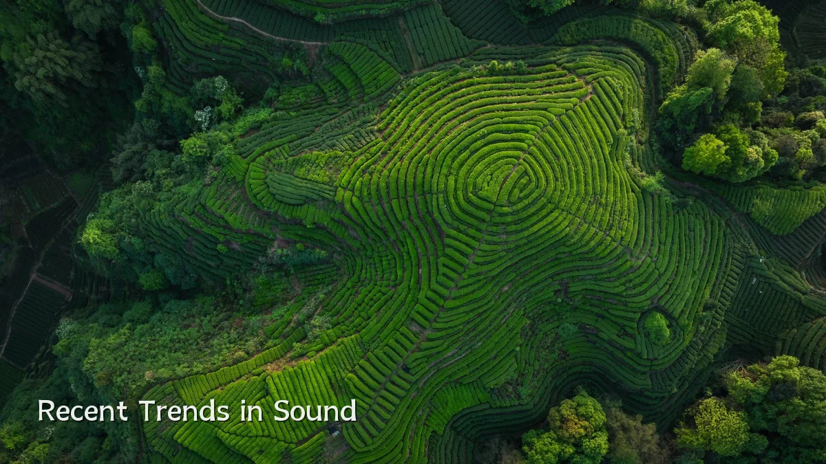 Recent Trends in Sound