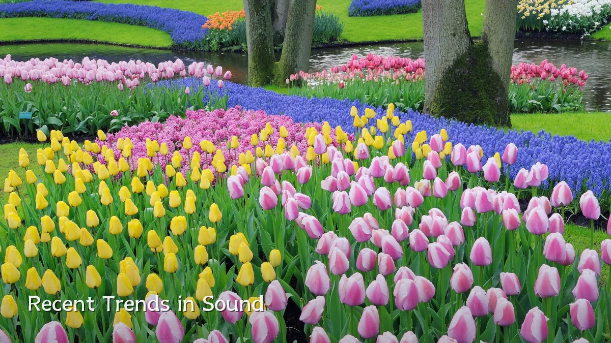 Recent Trends in Sound
