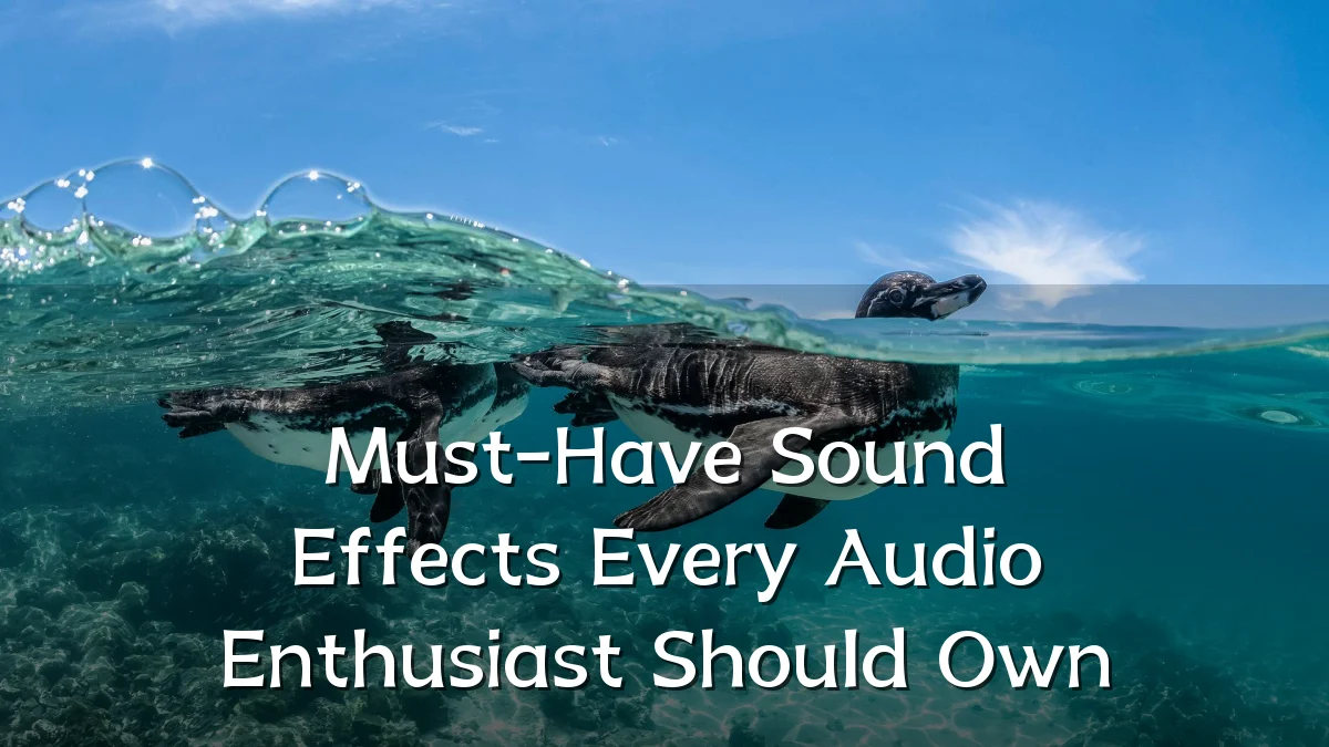 Must-Have Sound Effects Every Audio Enthusiast Should Own