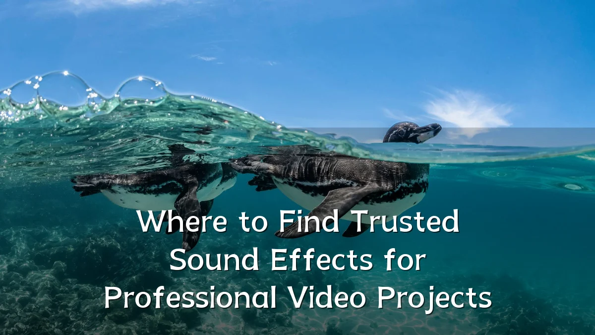 Where to Find Trusted Sound Effects for Professional Video Projects